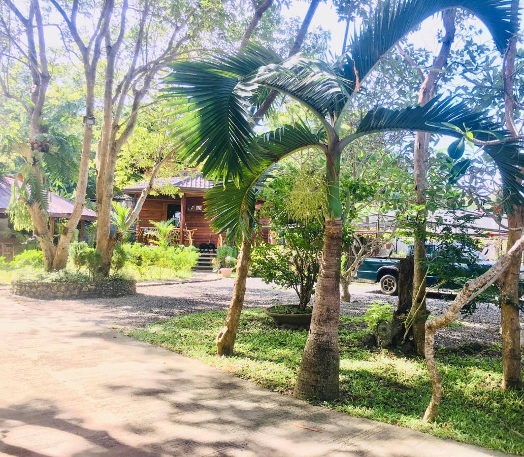 Pahiluna Guesthouse パングラオ エクステリア 写真