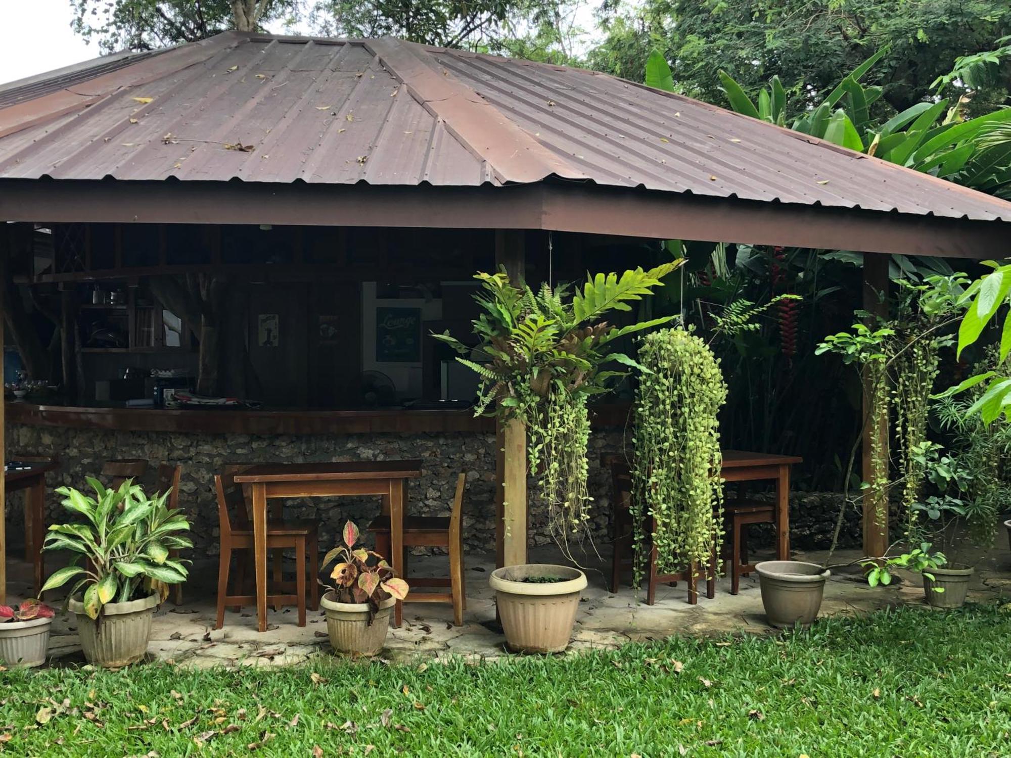 Pahiluna Guesthouse パングラオ エクステリア 写真
